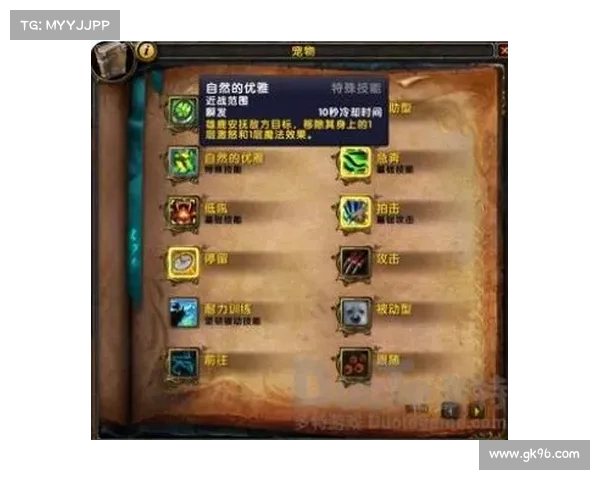 魔兽世界怀旧服：技能调整中心